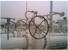Flammable gas ball valve that supply to huaneng power plant