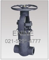 Forged Steel Pressure Seal Gate Valves, Threaded and Socket weld
