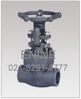 Forged Steel Bolted Bonnet Globe Valves, Threaded and Socket weld