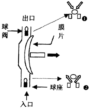 隔膜式定量泵浦动作原理示意图1