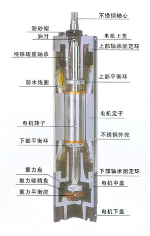 潜水泵 结构图